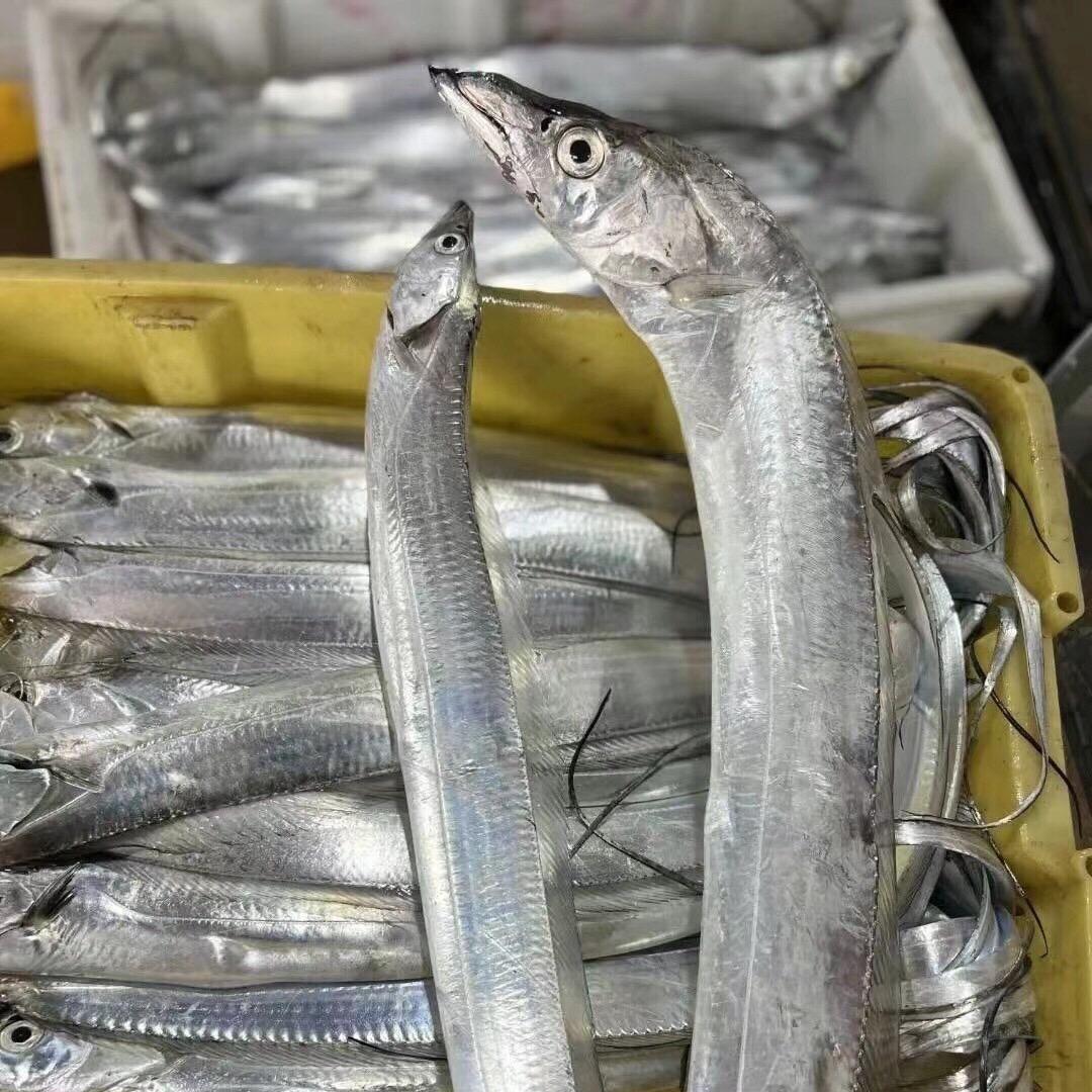 卖鱼东