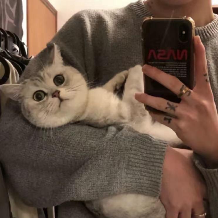 Mr方