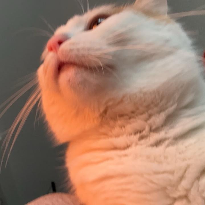 熙