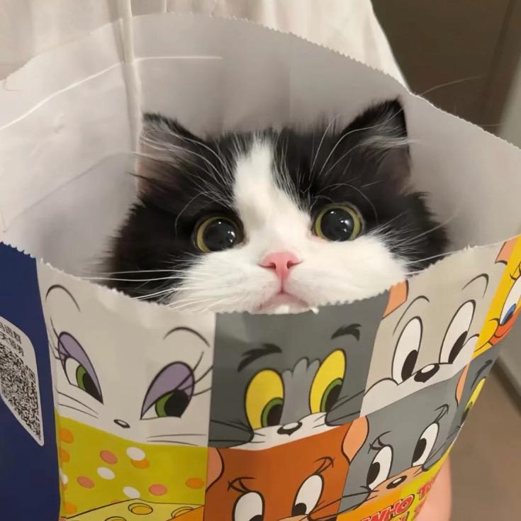 @郭老板