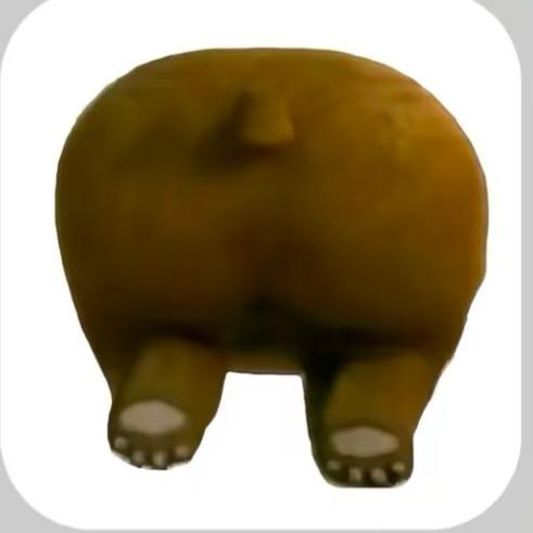 蛀牙很大，吃猪肉有点塞牙齿