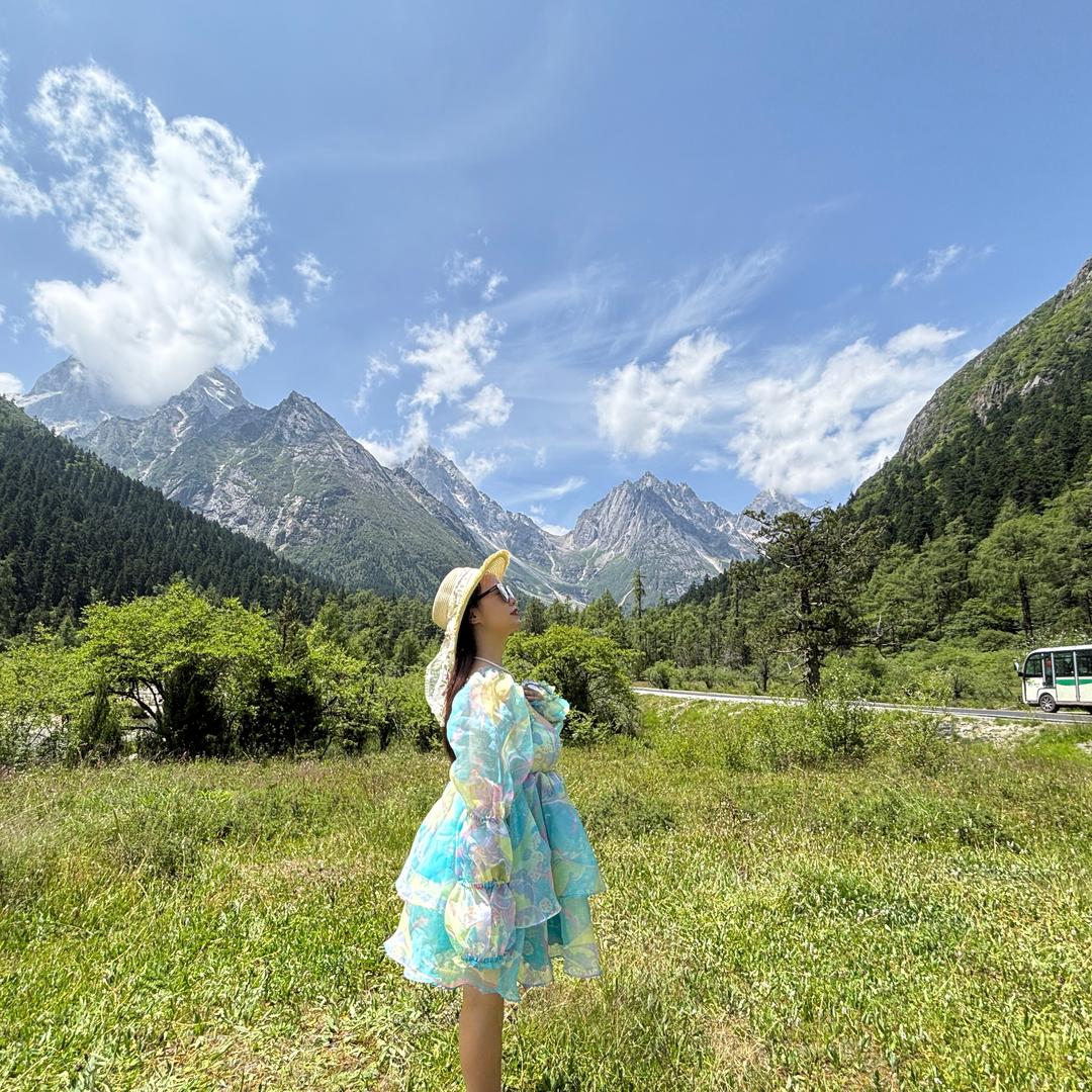 陈家大小姐
