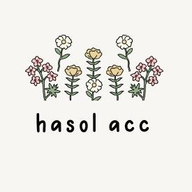 Hasol韩国小众饰品