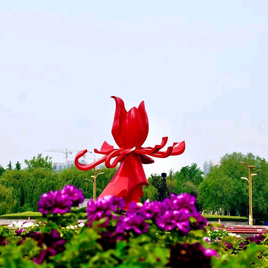 国花牡丹芍药种植基地山东