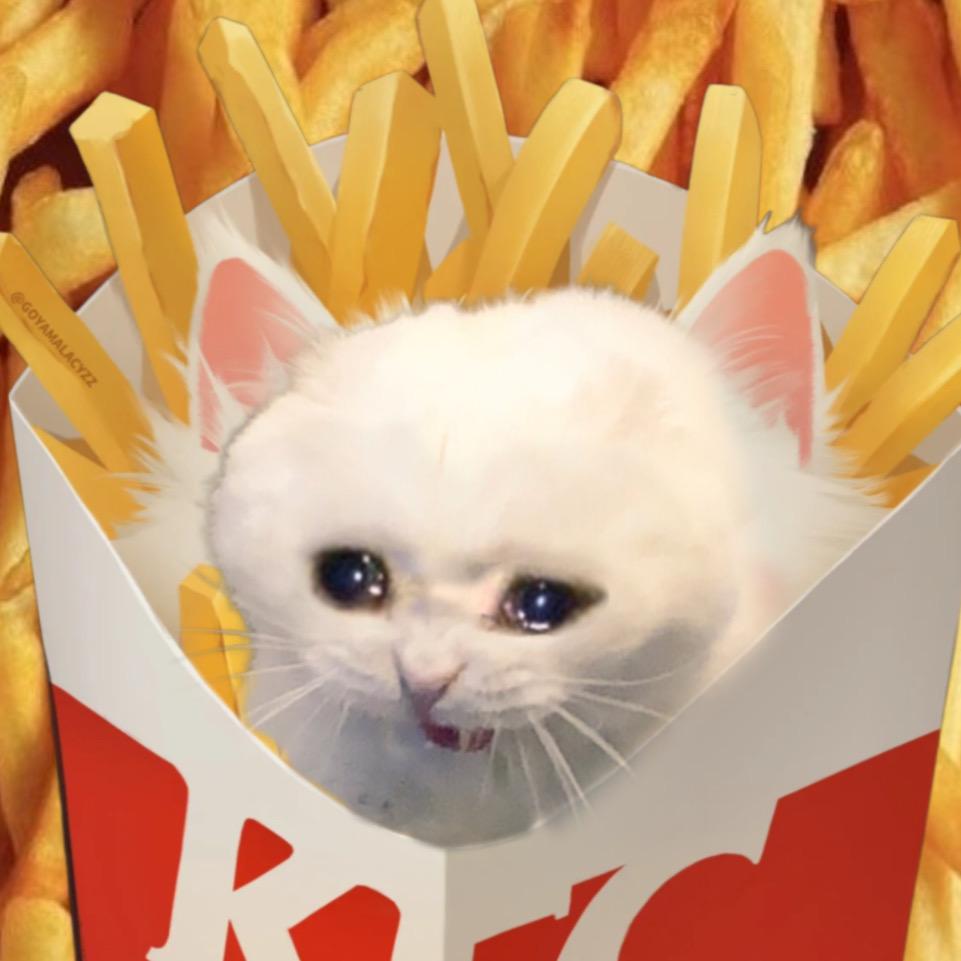 伤心薯条猫