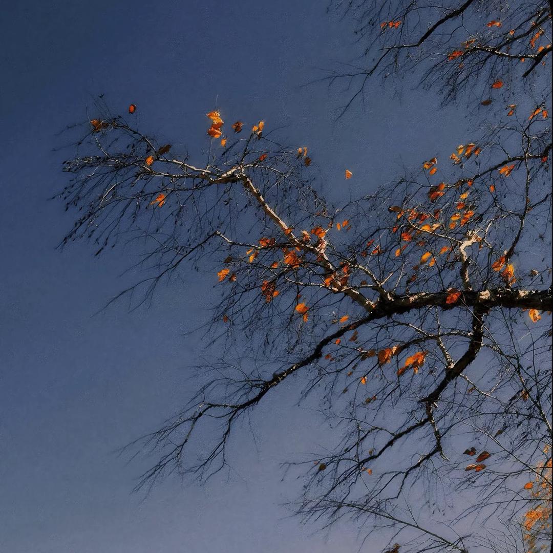 不要番茄的西红柿炒蛋