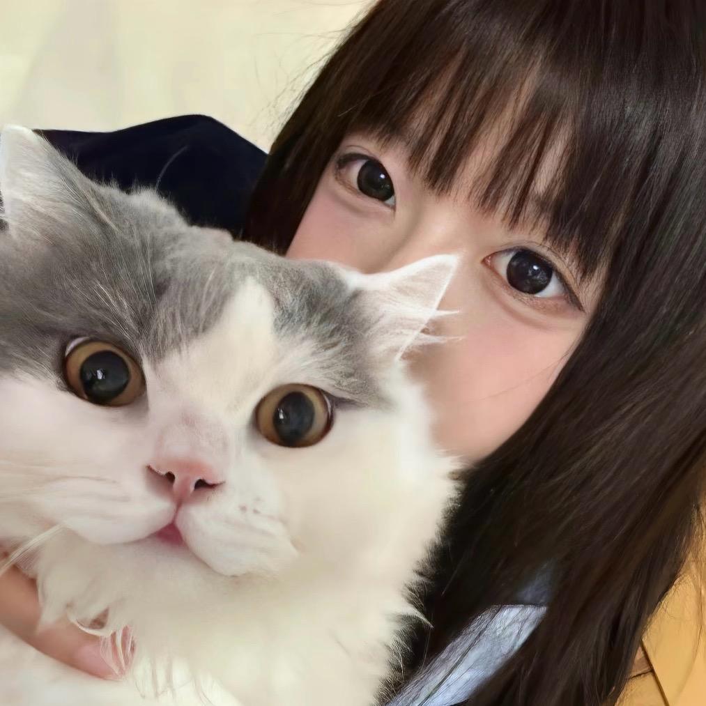 不和土狗玩