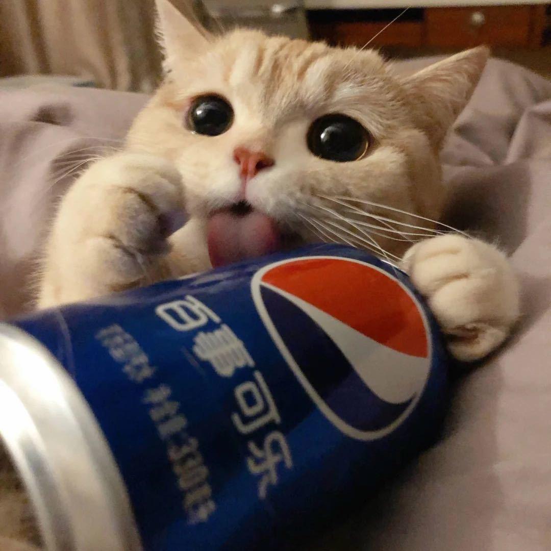 我来监督沙瑞金