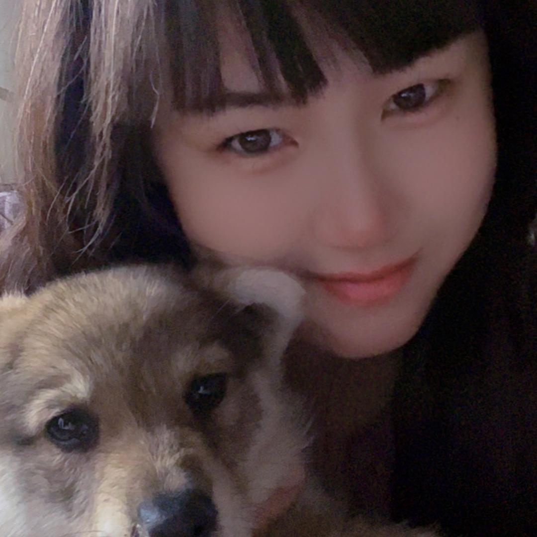 九五名犬繁殖基地