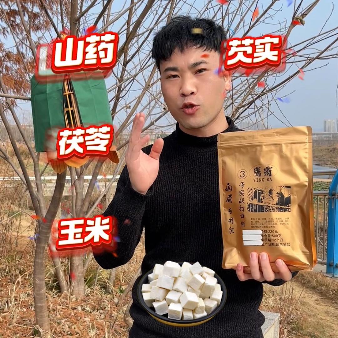 鹰霸鸟食1
