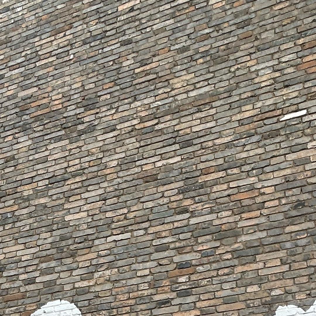 柒柒🫧