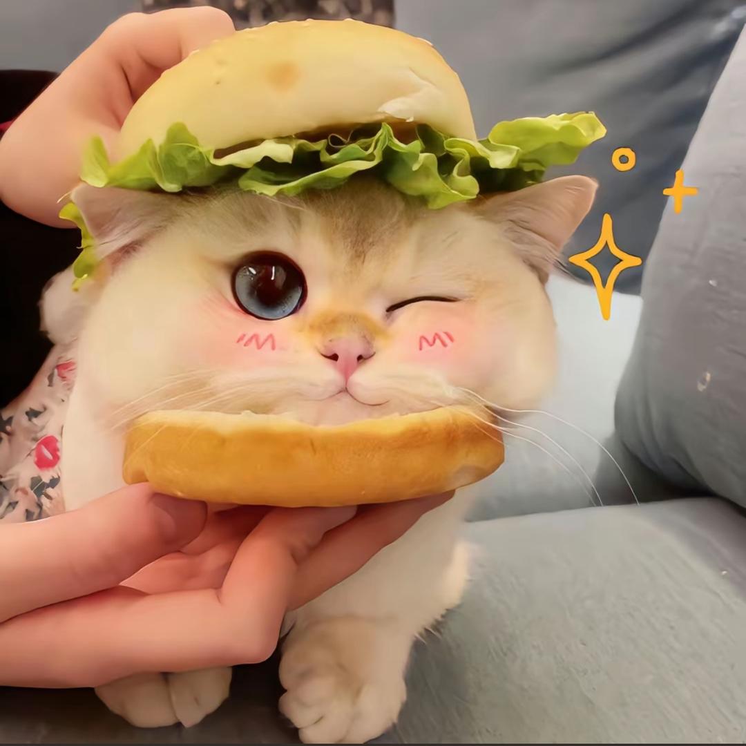 小欣欣.