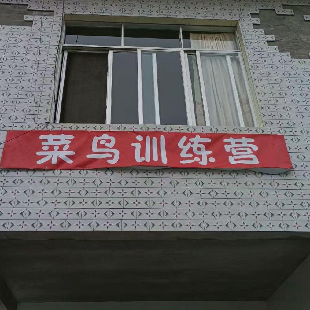 菜鸟一号