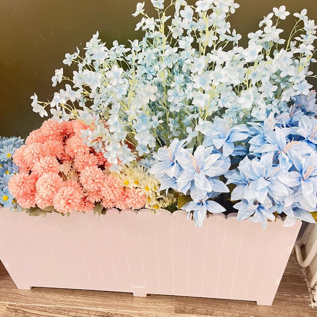 芬芳姐姐