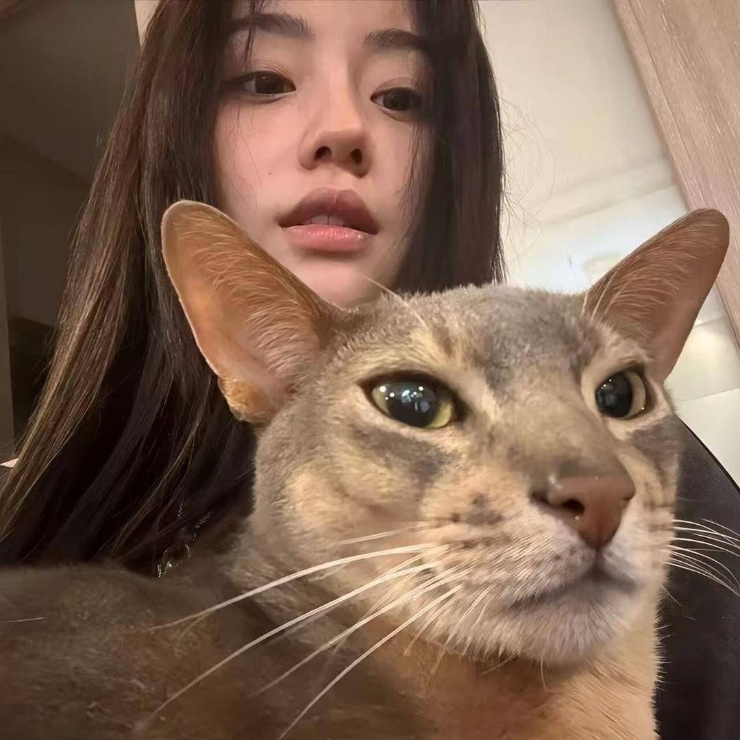 @依个依