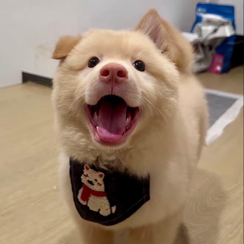 妍很闲