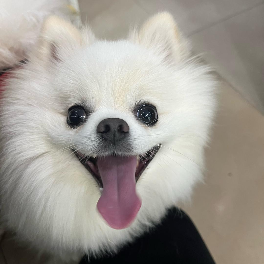 我爱我家
