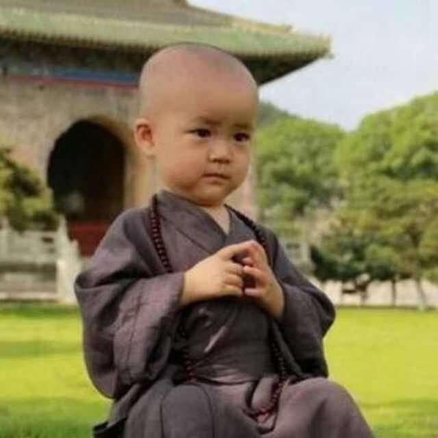大笨熊🍶🐻