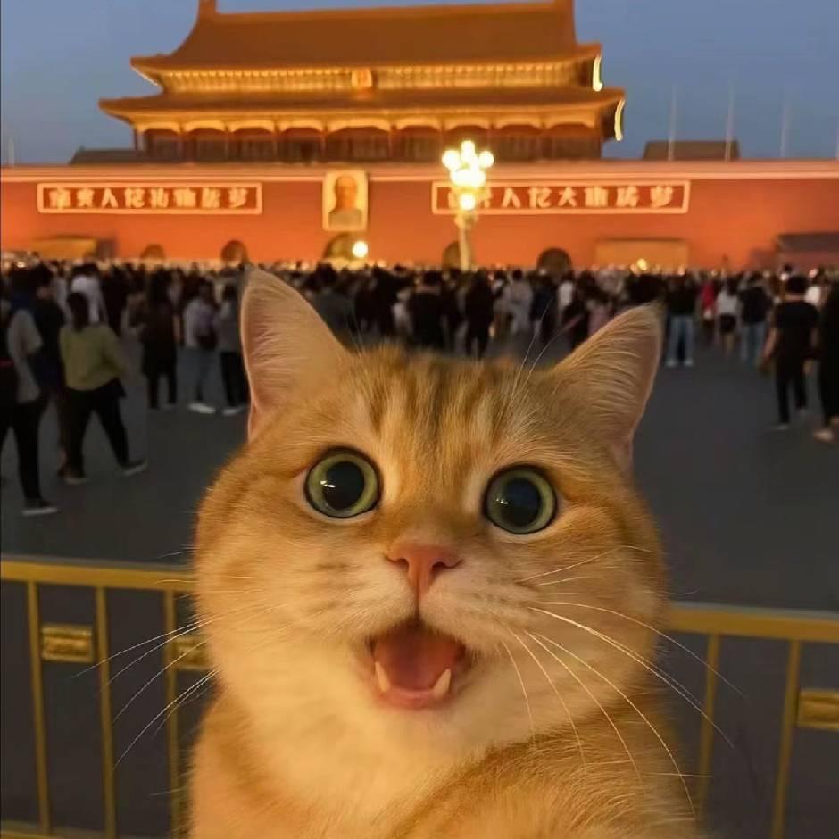 鲨鱼辣椒🥷