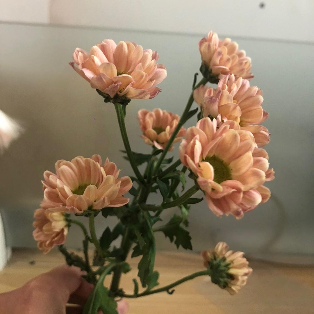 淮阳吃喝玩乐(淮阳新网)