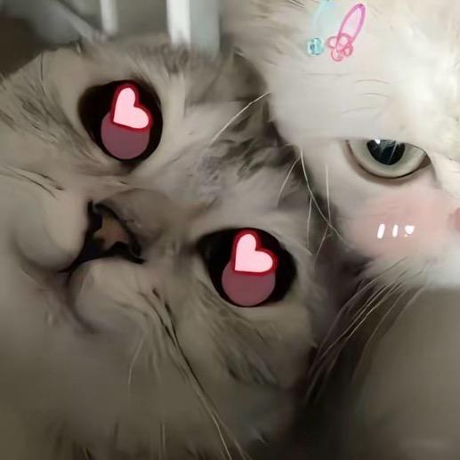 _