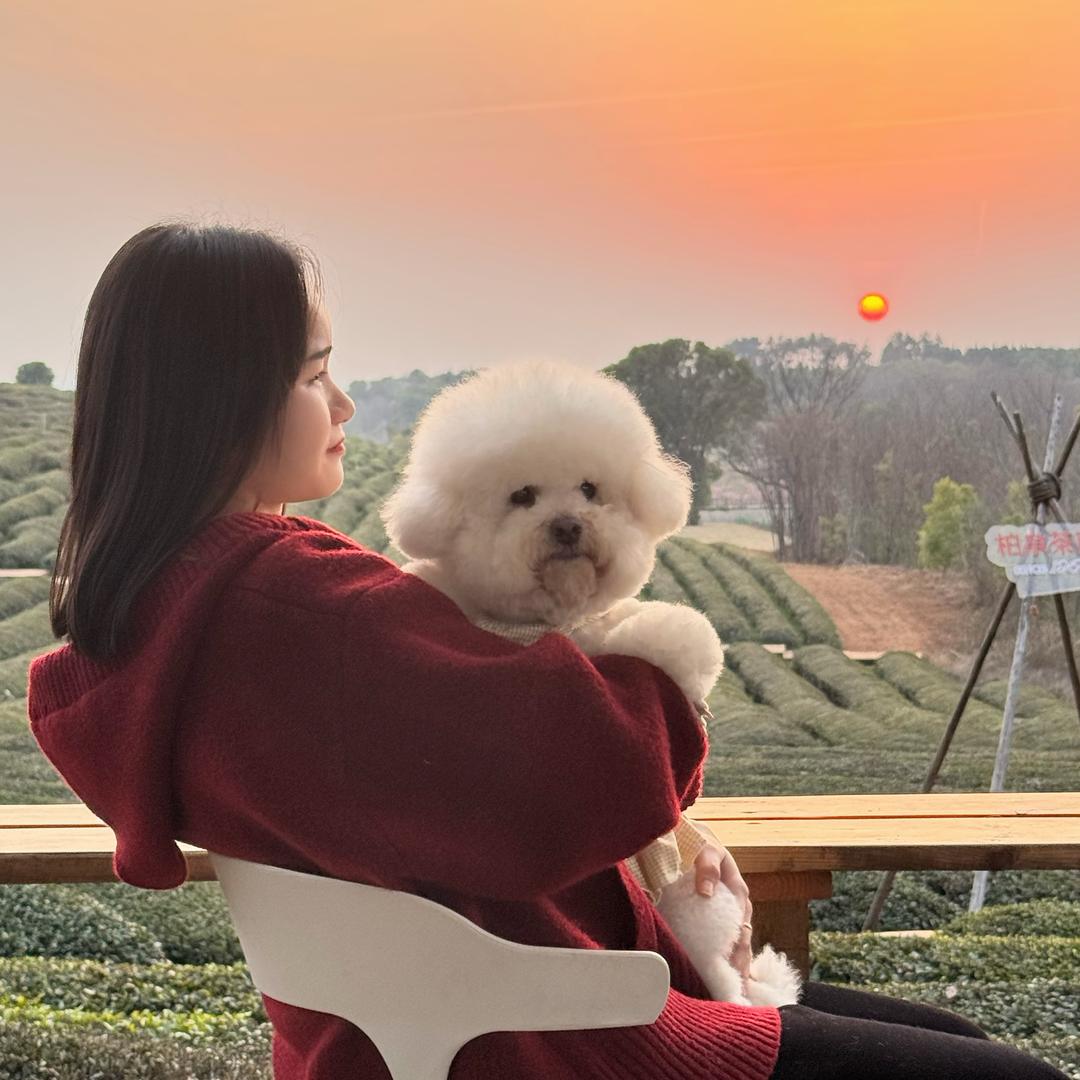 爱数学的羊羊老师