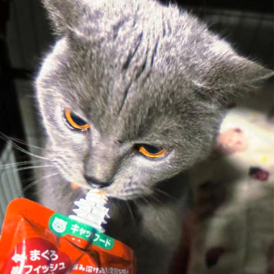 冰橙子