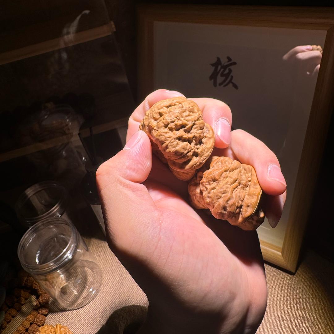 核友文玩（专注核桃）