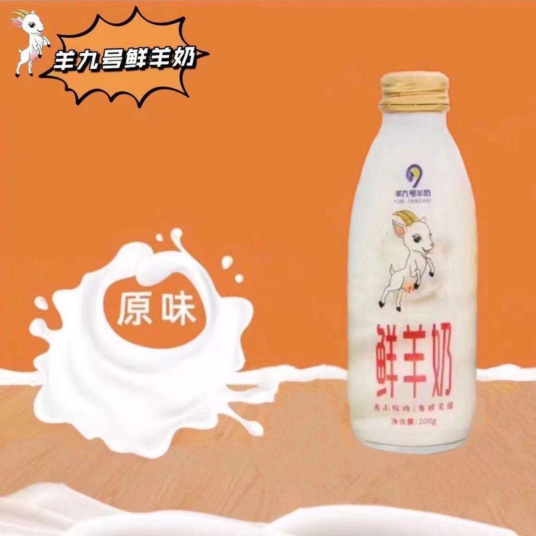 普宁鲜羊奶配送阿林