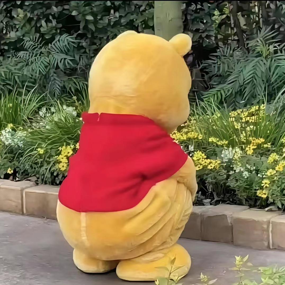 芦苇花🫎🌾🌷🌸