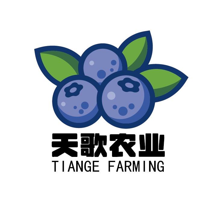 天歌农业蓝莓