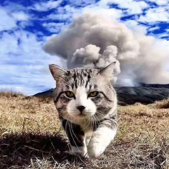 醉漫