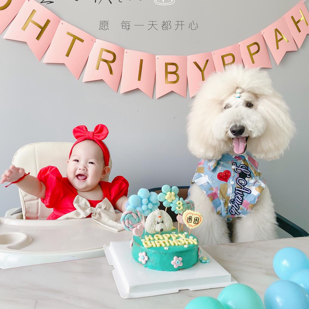 会叫妈妈的巨贵图图