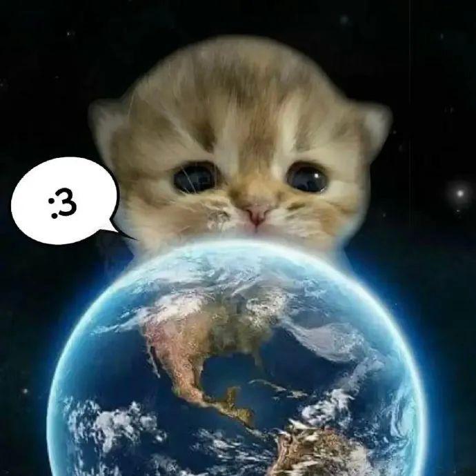 唉T^T