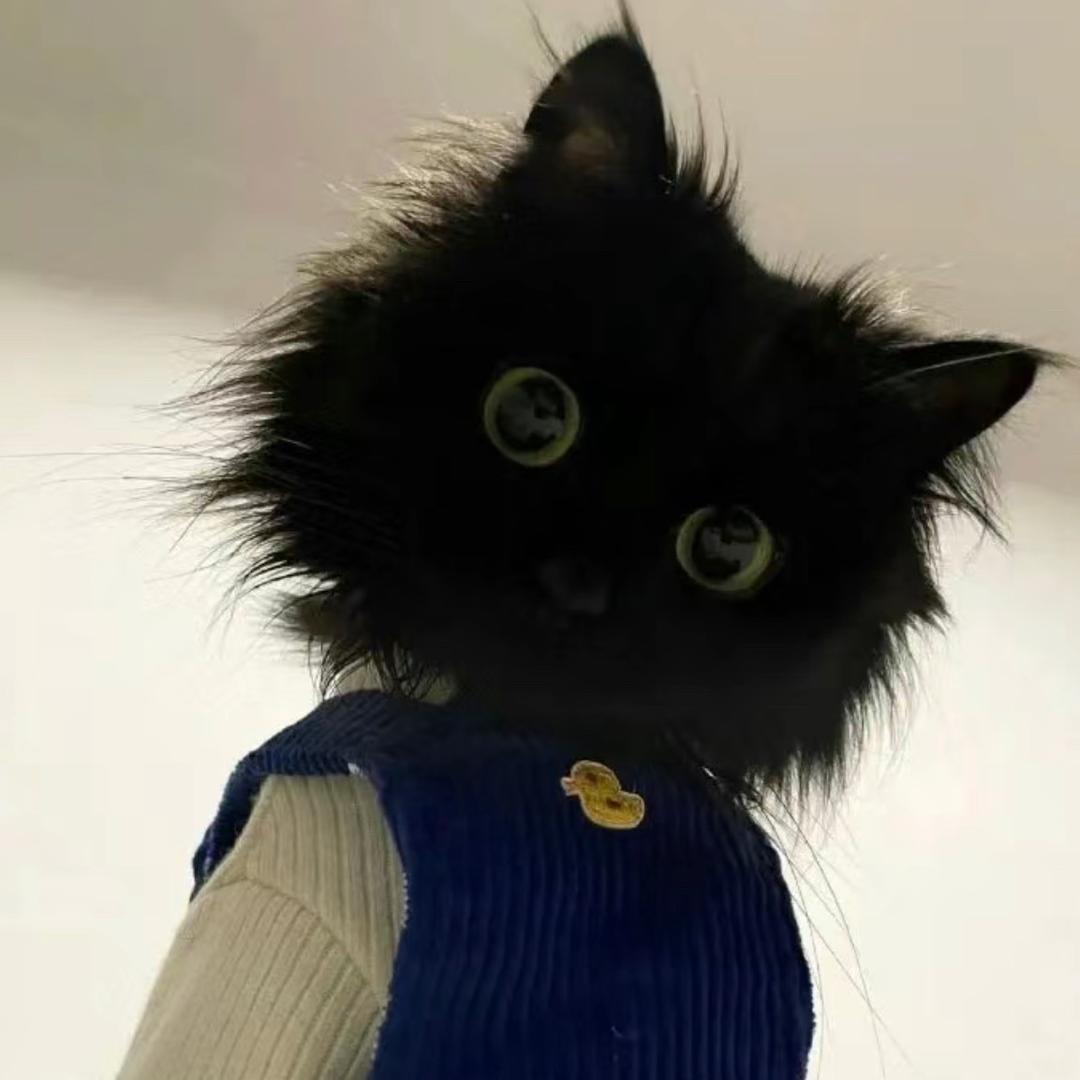 熊11 🐾