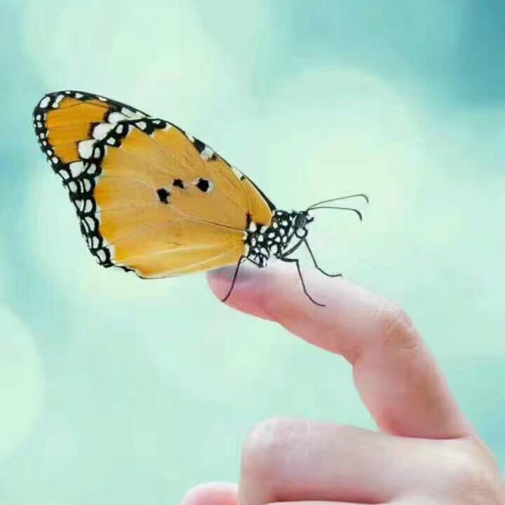 Hey