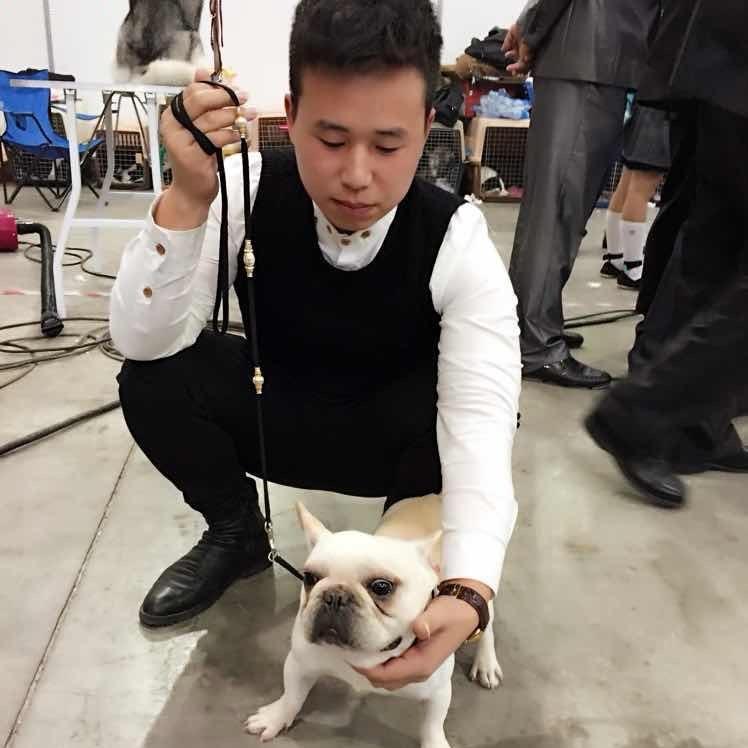 宠物DogShow牵引赛绳