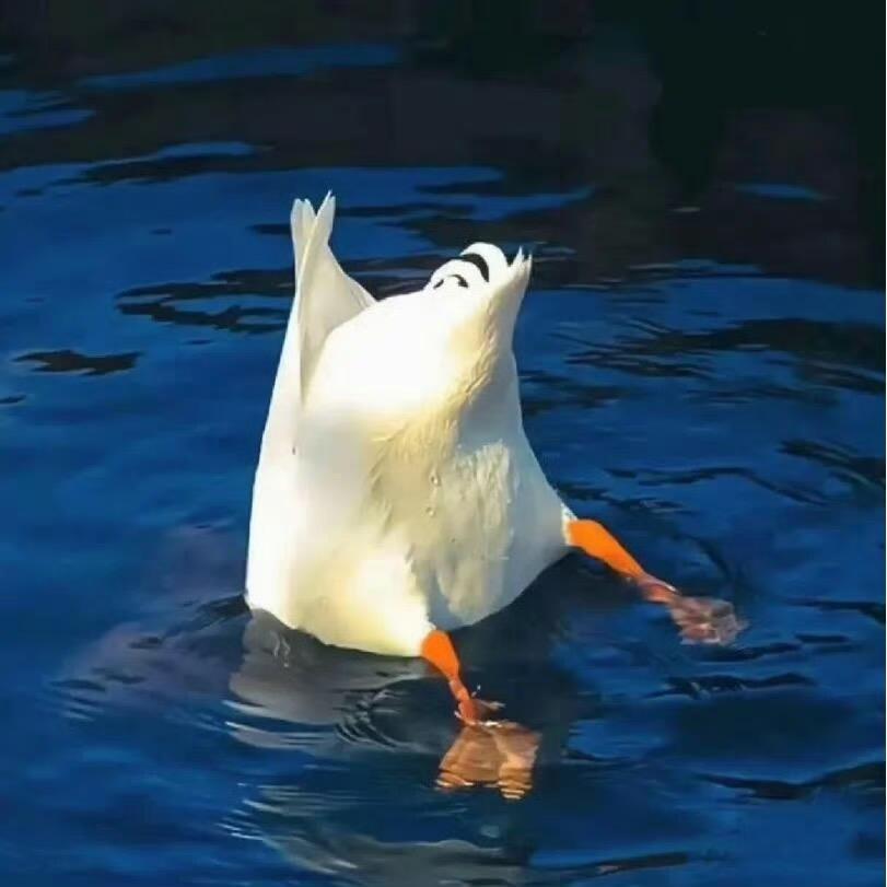 冷不丁bangbang就两拳