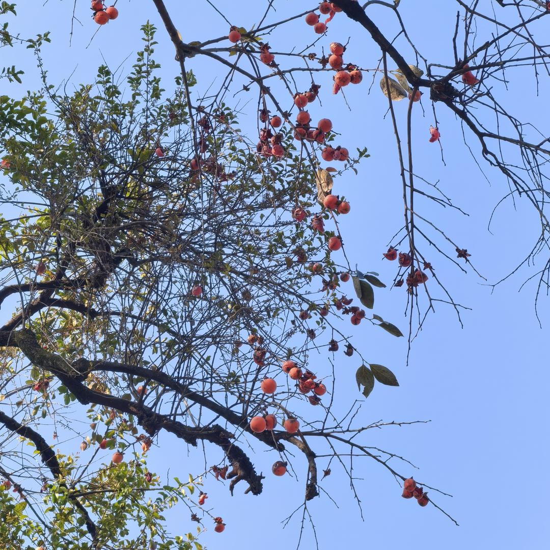 福材e家