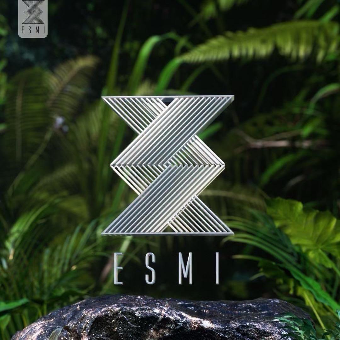 重庆ESMI