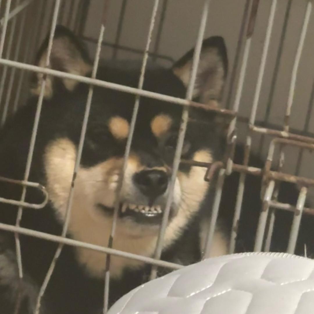 淦