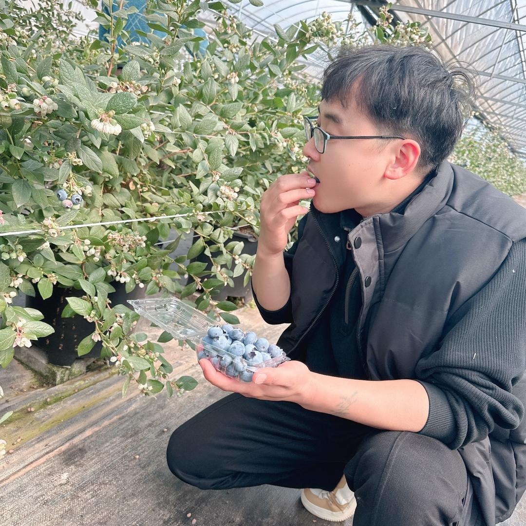 周周的蓝莓慢生活