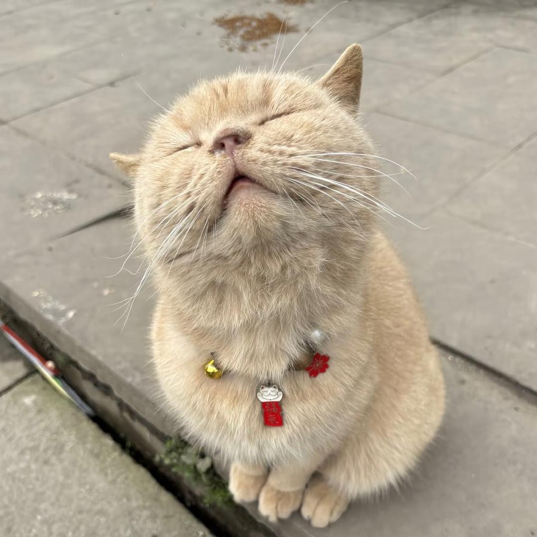 🥐小苗发财啦～