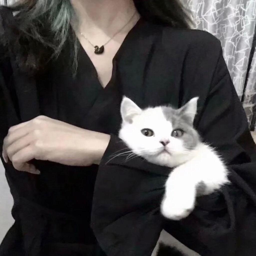 🌈一只懒猫i🌸