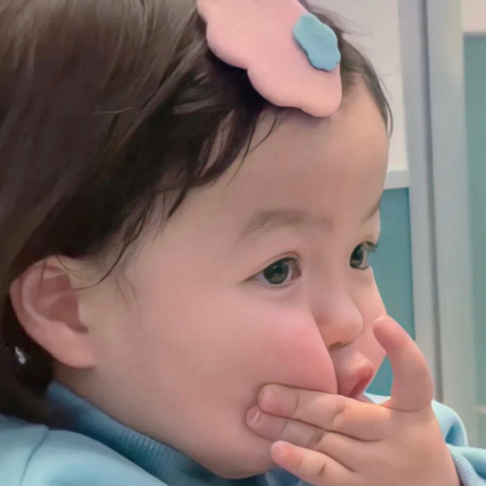 来财宝贝｜小体比熊