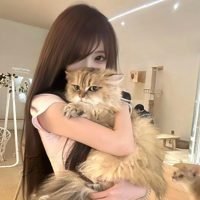 𝓩.莉儿