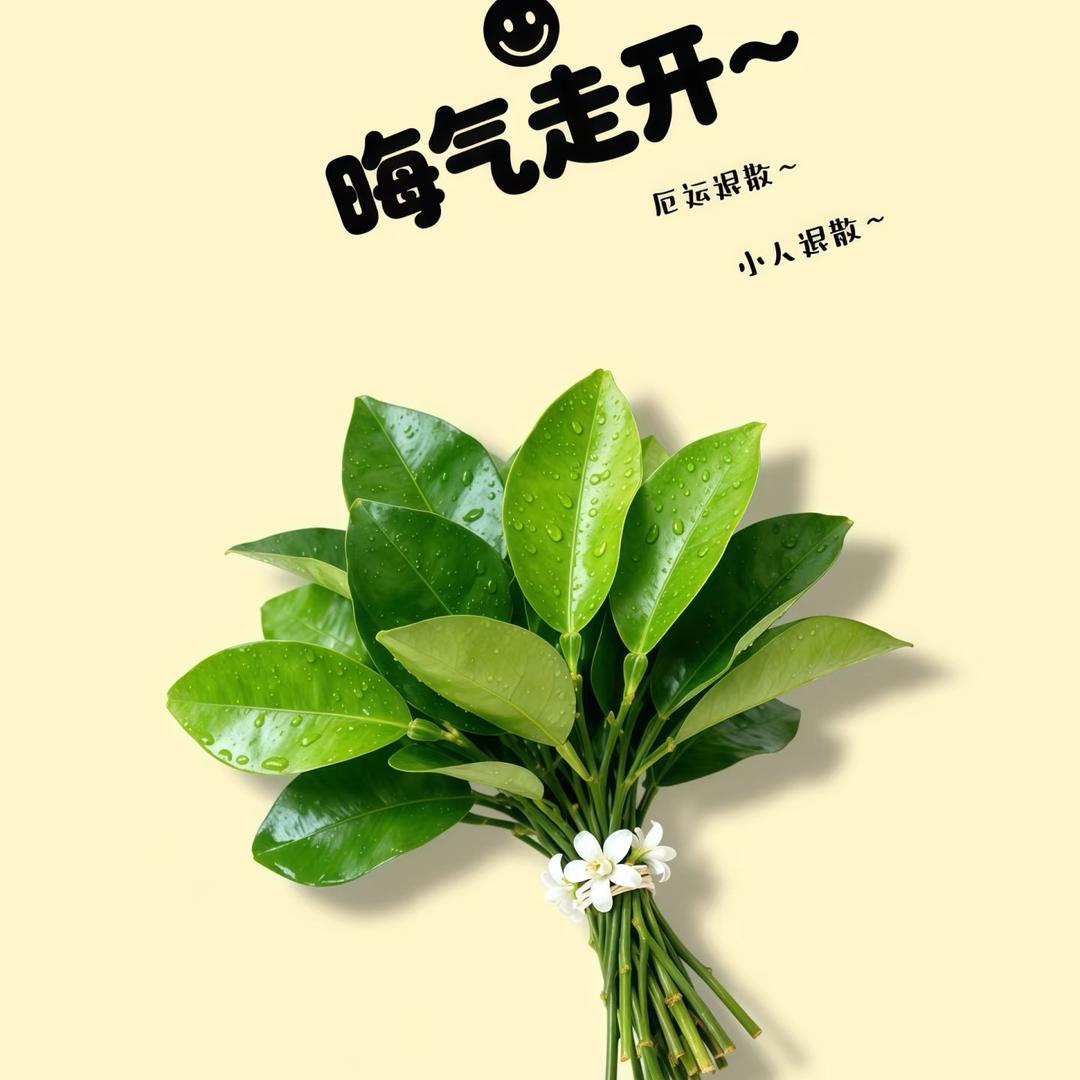 不是秋刀魚
