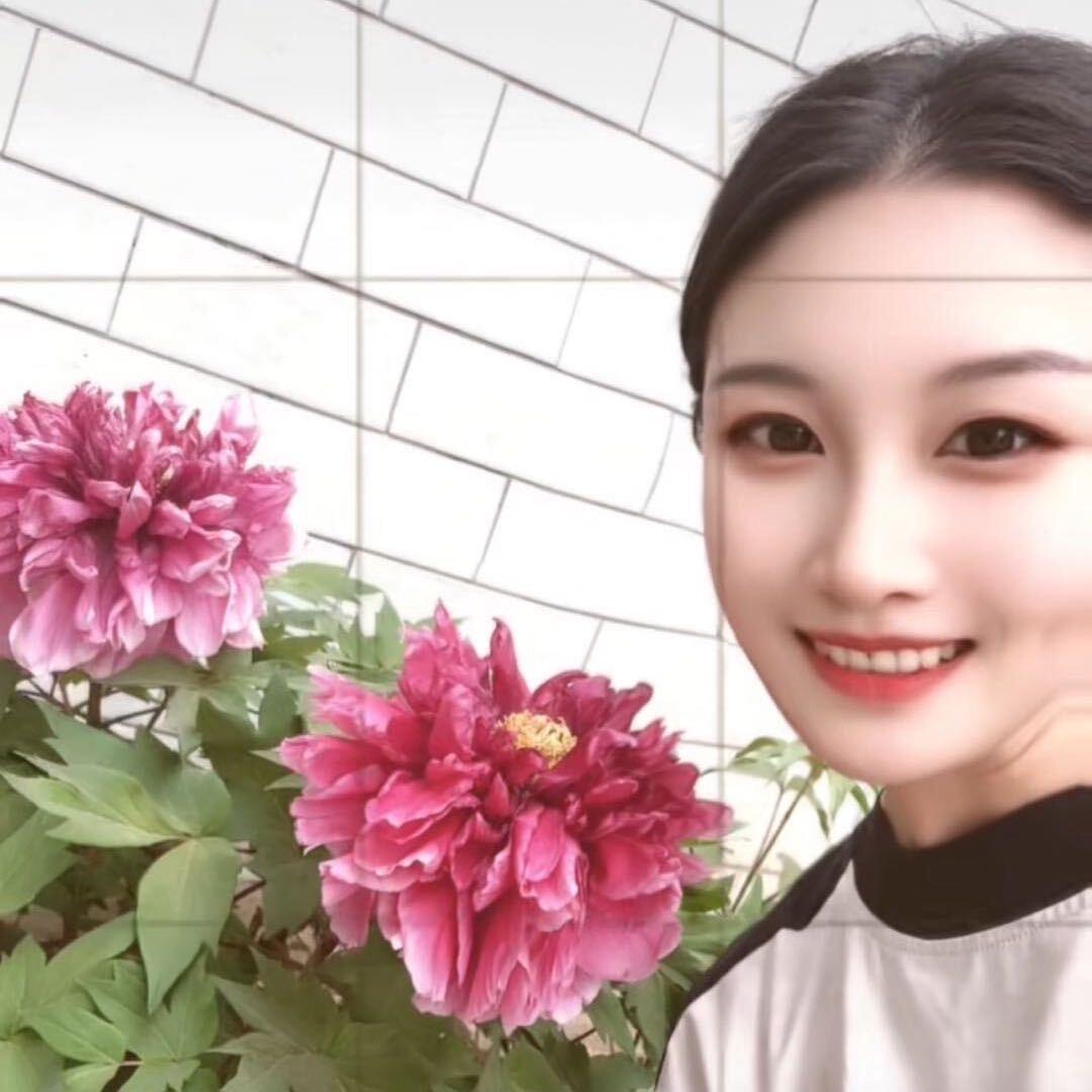 董小姐