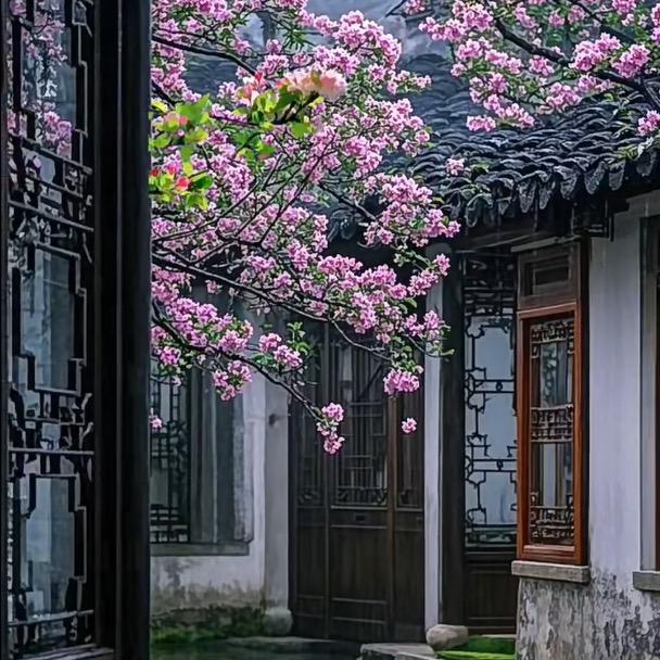 南巷初听雨