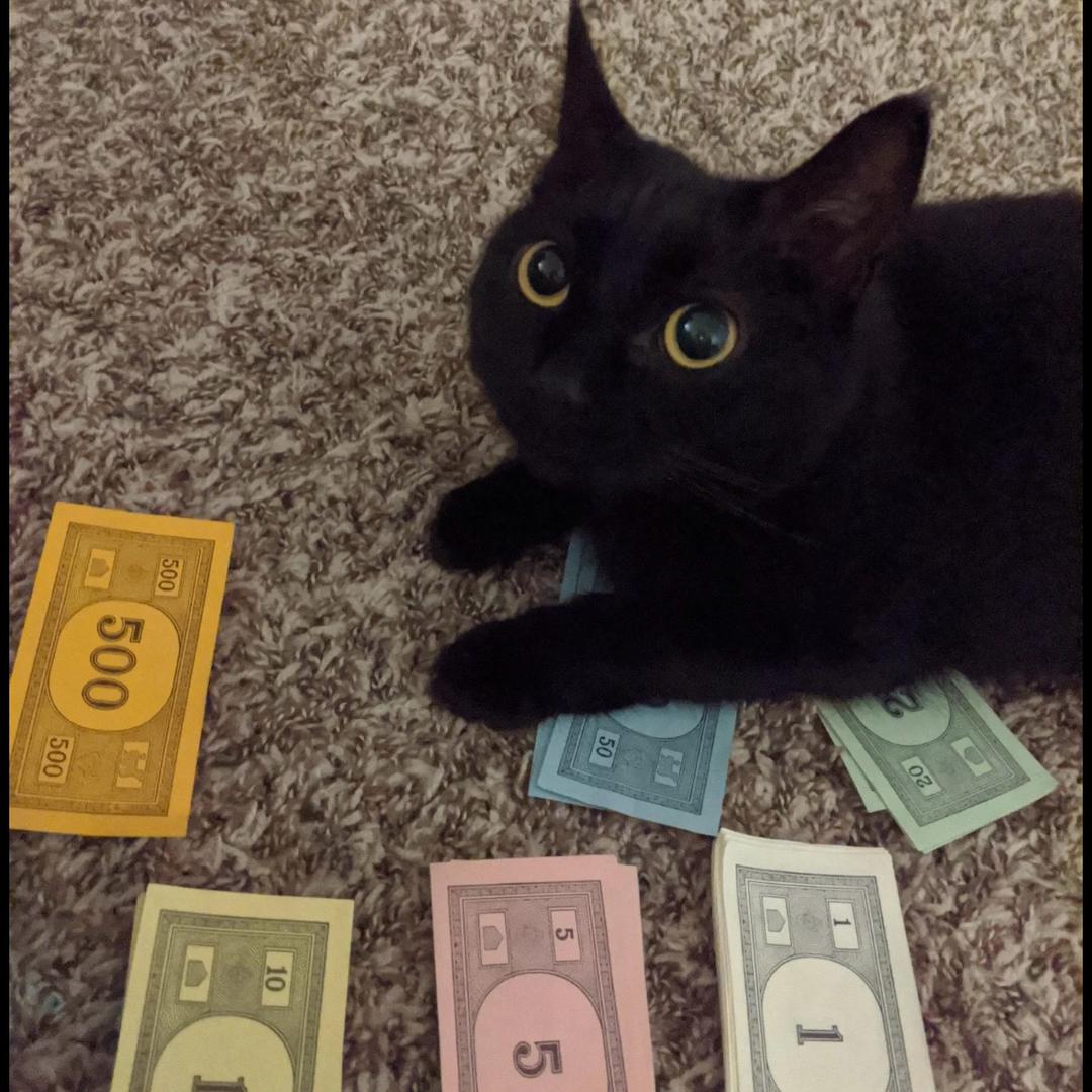 Cc